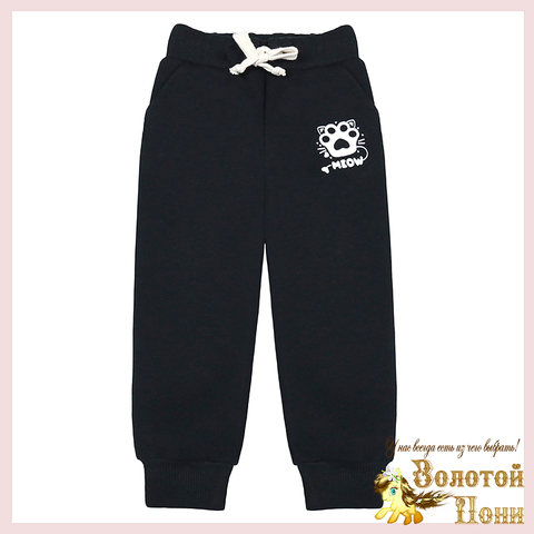 Брюки спорт/начес д (3-7) 241002-BK1710B.4