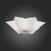 Светильник потолочный ST Luce Fiore SL359.502.07