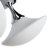 Светильник Arte Lamp Aqua-sfera A2550PL-3CC