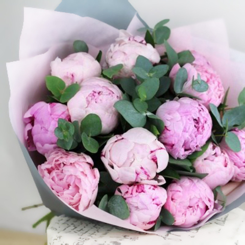 Пионы розовые Sarah Bernhardt с зеленью от 3шт