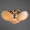 Светильник Arte Lamp Aqua-sfera A2550PL-6CC