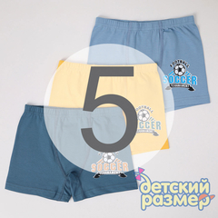 5 (9-10 лет)