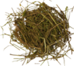 Хвощ полевой (трава)