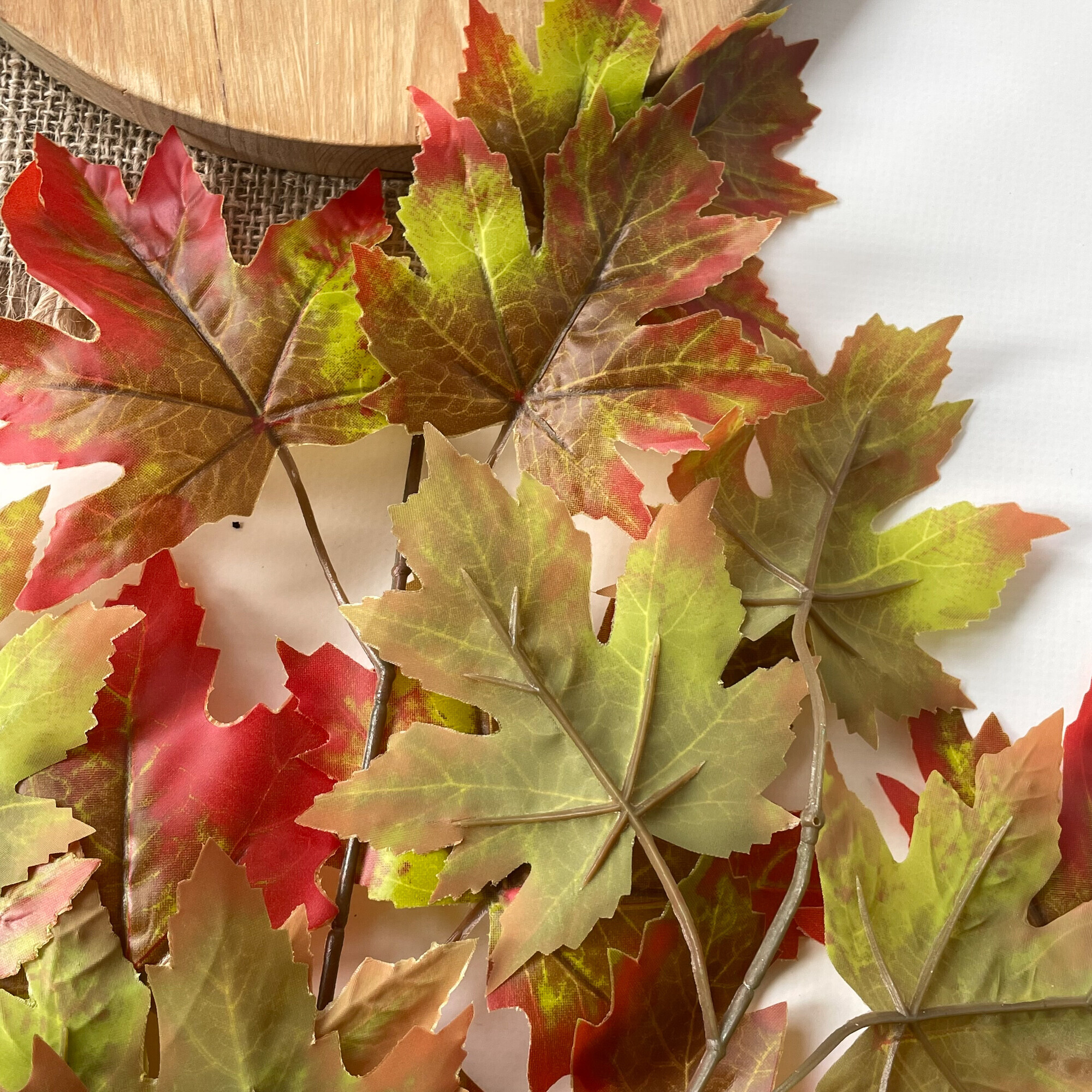 Осенний букет листьев Изображения – скачать бесплатно на Freepik