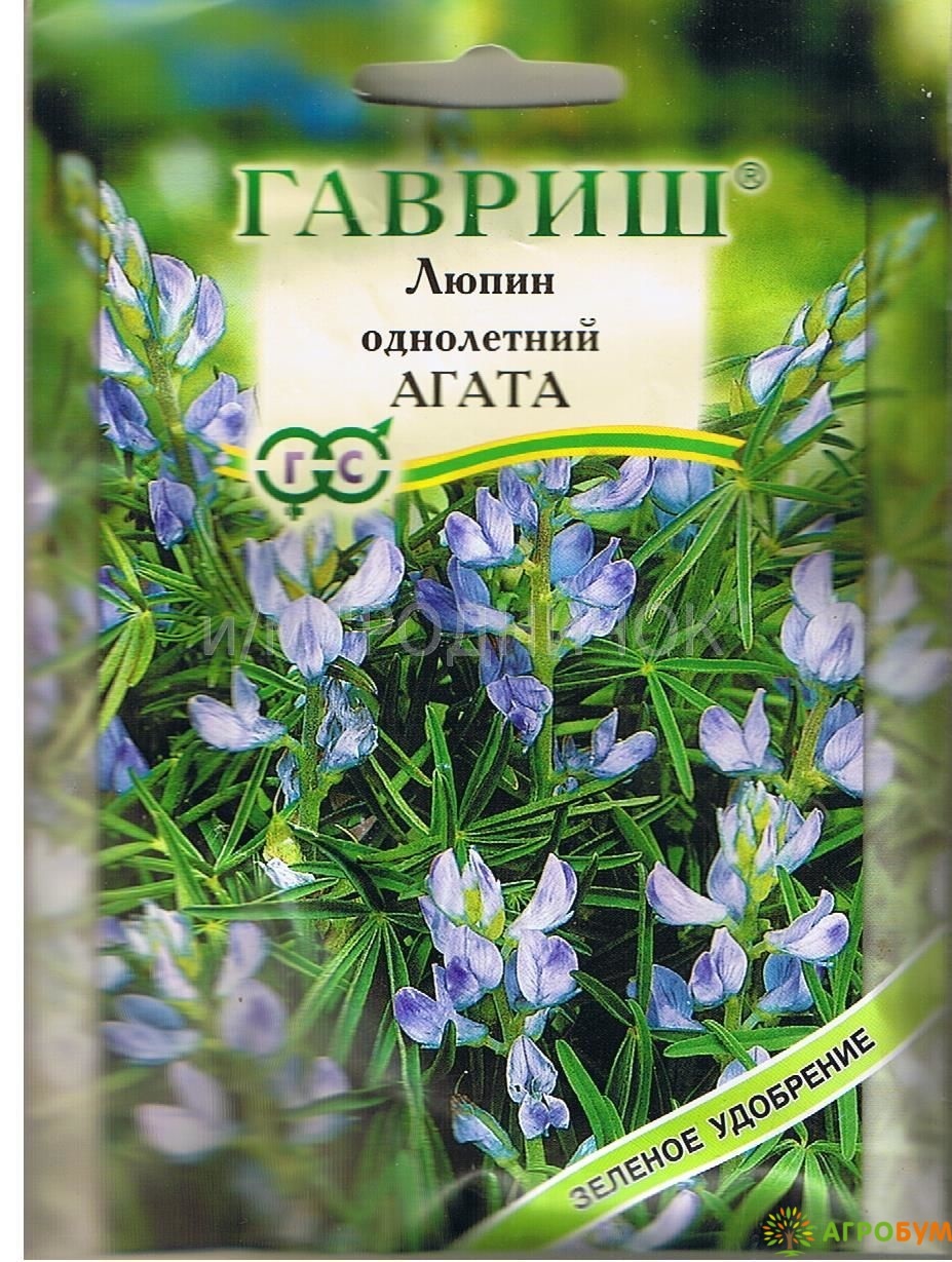 Купить Люпин Кормовой Семена