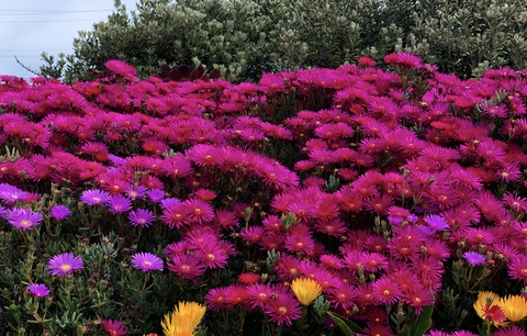 1111 новый товар3