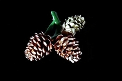 Силиконовый молд 