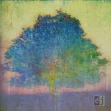 JOHNSON, ERIC: Ej (Компакт-диск)