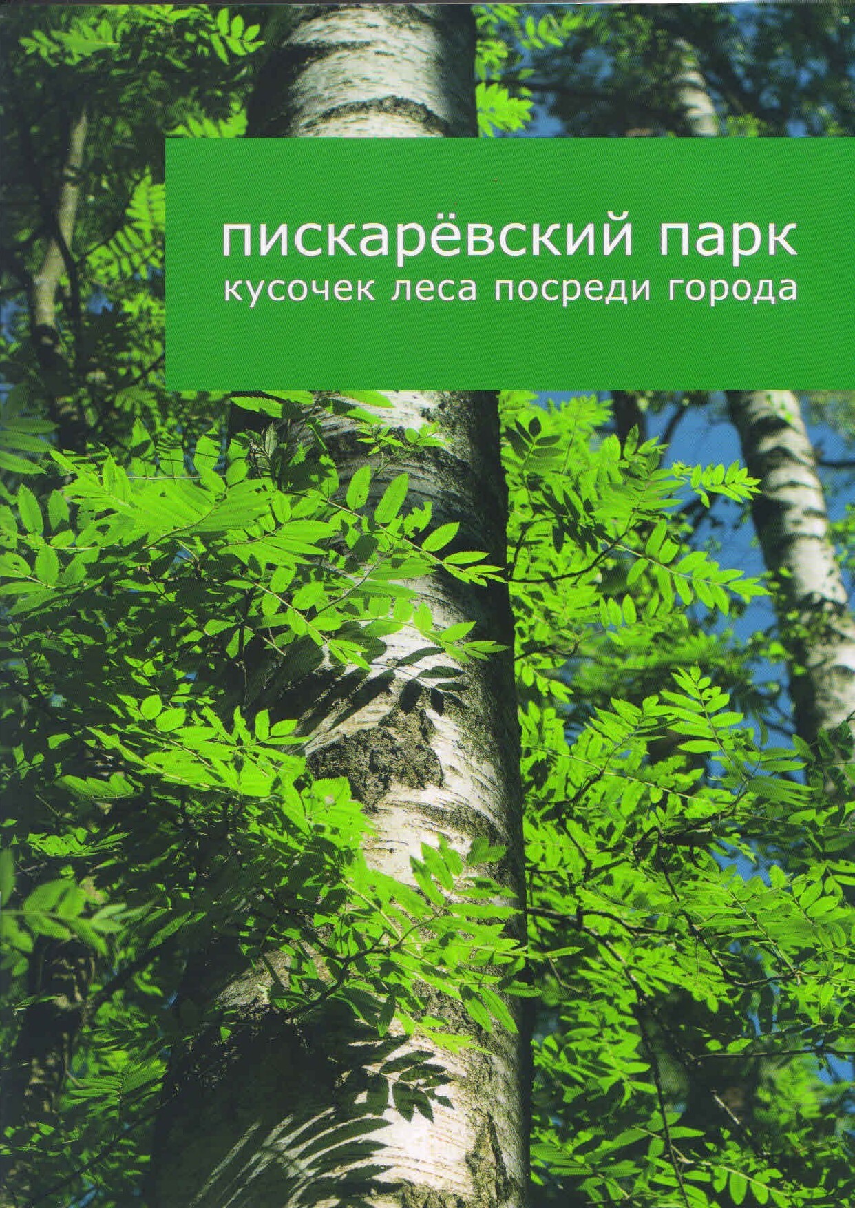 Пискаревский парк: кусочек леса посреди города