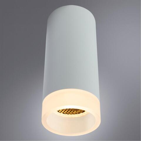 Накладной светильник Arte Lamp OGMA A5556PL-1WH