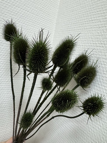 Ворсянка Темно-Зеленый (пучок)