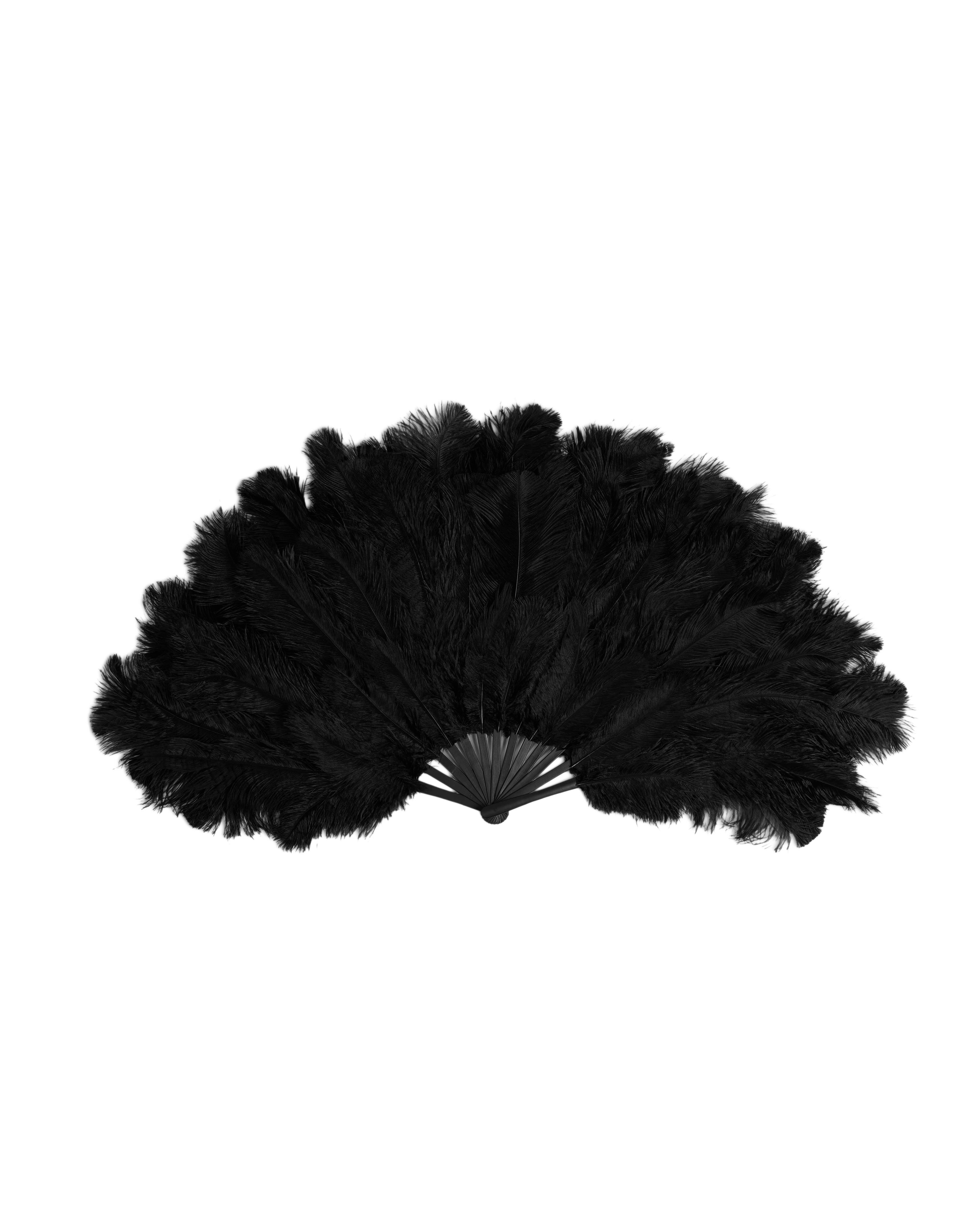 Веер из страусиных перьев