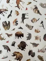 Альбом 500 наклеек 