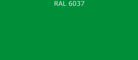 RAL6037