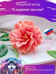 Комплект молдов 