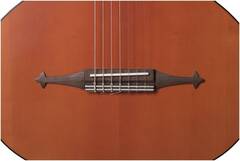 Гитара акустическая семиструнная DOFF RGC