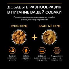 Pro Plan сухой корм для взрослых собак мелких и миниатюрных пород (курица, рис) 3 кг