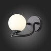 Светильник настенный ST Luce Legatezza SL1502.401.01