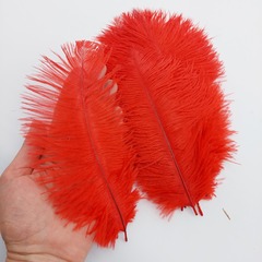 Перья страуса  декоративные  20-25 см.  (цена за 1 шт.) (выбрать цвет)