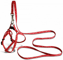 Поводок со шлейкой для кошек и собак Dog Chain, 10 мм х 120 см