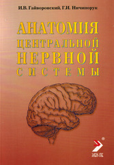 Анатомия центральной нервной системы (краткий курс)