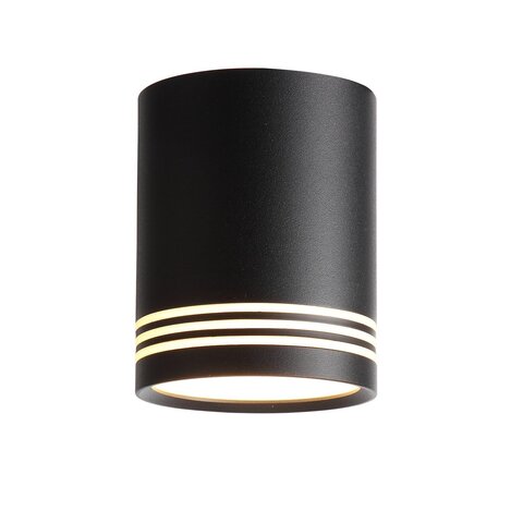 Светильник потолочный ST Luce Cerione ST101.402.12