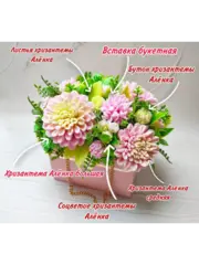 Комплект молдов 