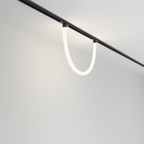 Магнитный трековый светильник Maytoni Tau TR101-2-20W4K-B