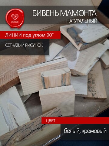 Бивень мамонта прямоугольники для изготовления мелких скульптур