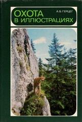 Охота в иллюстрациях