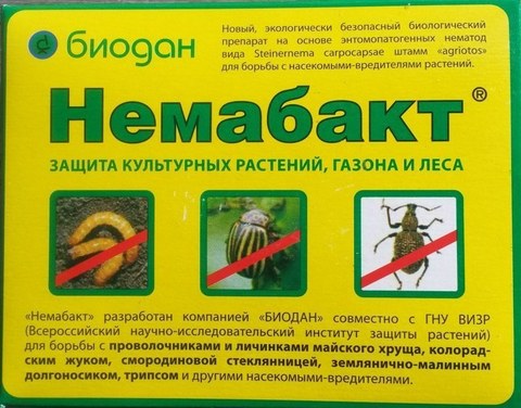 Немабакт