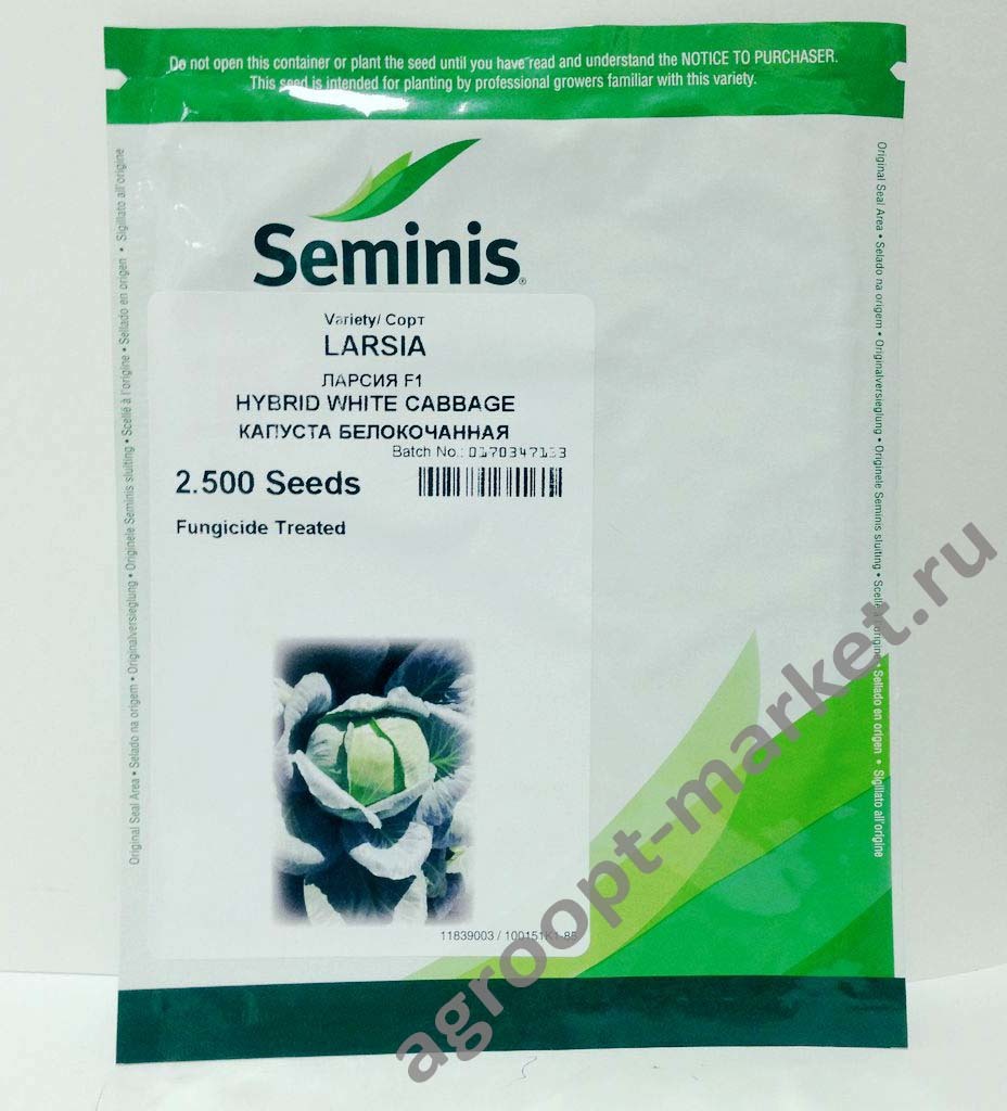 Капуста Ларсия F1 (Seminis) - купить семена из Голландии оптом - АГРООПТ