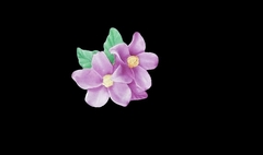 Силиконовый молд Фиалки