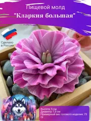 Комплект молдов 