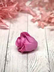 Пищевой молд 