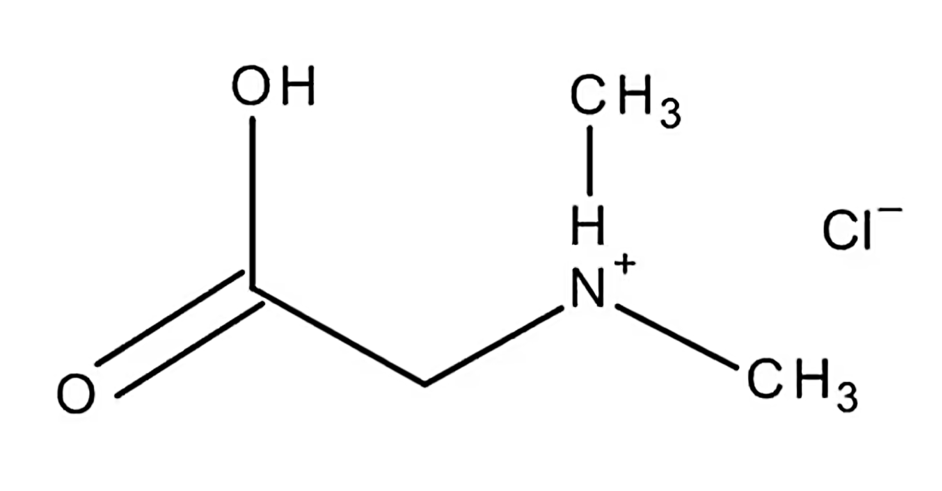 Cas элемент. Acetic anhydride. Диметилглицин. Propionic anhydride. Антраниловая кислота HCL.