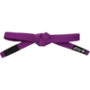 Пояс Jitsu Purple 3.0