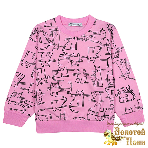 Свитшот хлоп/начес д (3-7) 241030-BK1718T.4