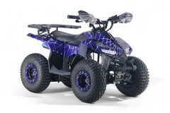 Детский бензиновый квадроцикл RiverToys LEON с электростартером