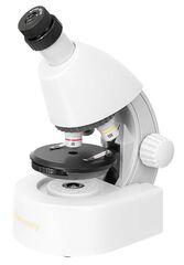 Микроскоп Levenhuk Discovery Micro Polar с книгой