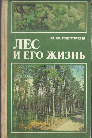 Лес и его жизнь