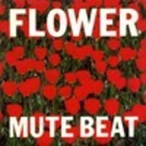 Mute Beat · коллекция