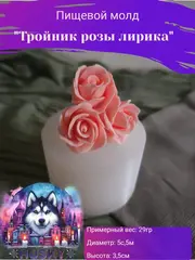 Пищевой молд 