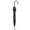 Зонт-трость Pasotti 142-Punto CN5 Handle Ash