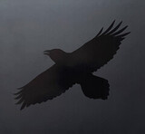 SIGUR ROS Odins Raven Magic (CD)