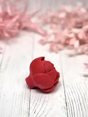 Пищевой молд 