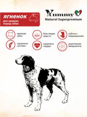 Yummy Linea сухой корм для взрослых собак средних пород (ягненок) 2,5 кг