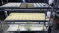 Многоярусный гидропонный стеллаж 3 яруса 1750х1250х600мм до 180 растений