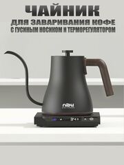 Чайник с регулировкой температуры нагрева (черный)