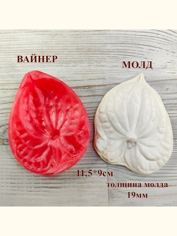 Молд+Вайнер 